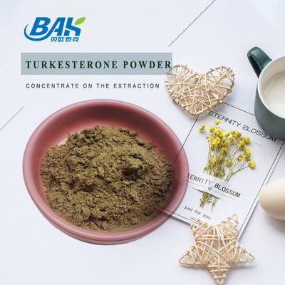1%-10% Turkesterone Tozu Ajuga Turkestanica Takviyeleri