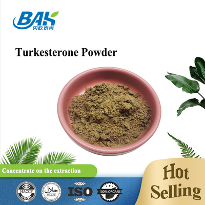 1%-10% Turkesterone Tozu Ajuga Turkestanica Takviyeleri