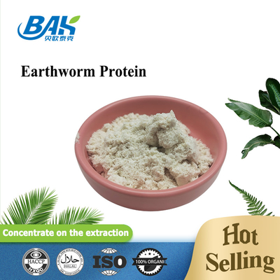 BAK Solucan Protein Tozu 5000-20000 IU/Mg Lumbrokinase Takviyesi