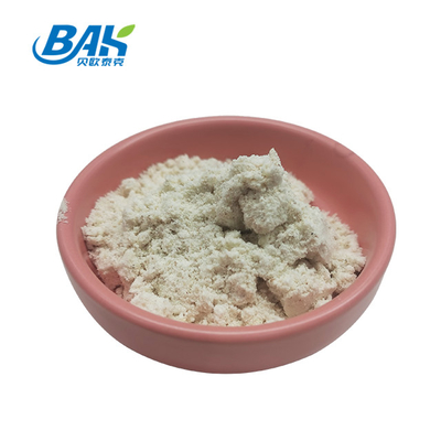 BAK Solucan Protein Tozu 5000-20000 IU/Mg Lumbrokinase Takviyesi
