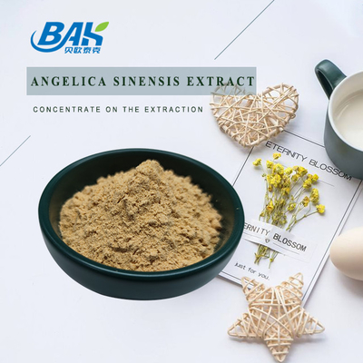 Çinli Profesyonel Fabrika Dang Gui Angelica Sinensis Dong Quai Kök Ekstraktı Tozu Angelica Dahurica Ekstraktı