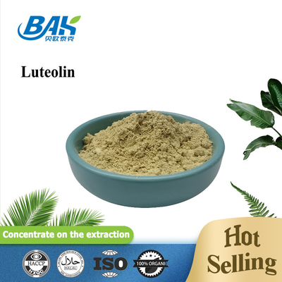 %90 - %98 Luteolin Tozu Bağışıklık Güçlendirici Takviyeler CAS 491-70-3