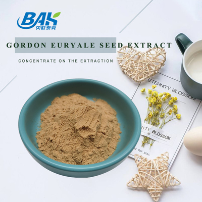 Halal Organik Mantar Ekstrağı Eklentisi 10:1 Gordon Euryale Tohum Ekstrağı Tozu