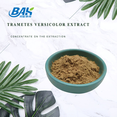 Gıda Sınıfı Mantar Özü Takviyesi Trametes Versicolor Özü %10 - %50