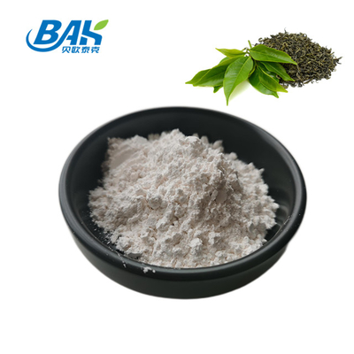 3081-61-6 Yeşil Çay Özü Tozu Theanine Sağlıklı Diyet İçin% 98 Doğal Bitkisel Öz