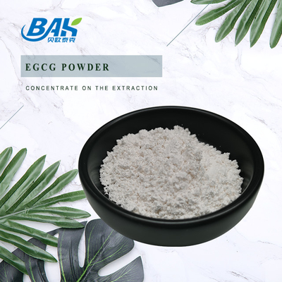 CAS 989-51-5 Yeşil Çay Ekstresi EGCG Epigallocatechin Gallate Beyaz Toz% 98