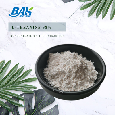 CAS NO 3081-61-6 Sağlıklı Beslenme İçin Doğal Bitkisel Ekstrakt Yeşil Çay Ekstraktı Tozu Teanin 98% Tozu