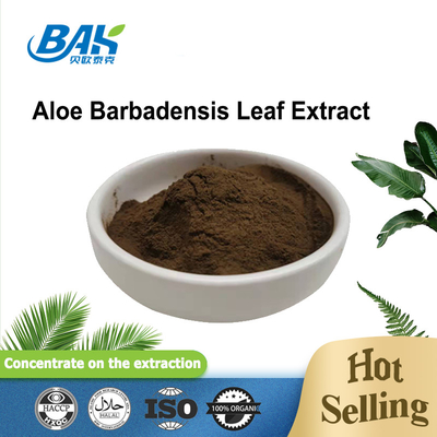 100/1 200/1 Aloe Barbadensis Yaprağı Özü Cas 85507-69-3 Kahverengi İnce Toz