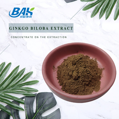Flavon %24 Laktonlar %6 Ginkgo Biloba Özü Sarı Kahverengi Toz