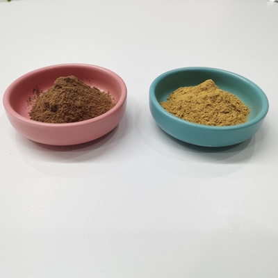 Flavon %24 Laktonlar %6 Ginkgo Biloba Özü Sarı Kahverengi Toz