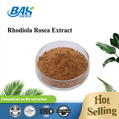 Organik Erkek Sağlığı Takviyesi Rosavin% 1 -% 10 Rhodiola Rosea L Özü Kırmızı Kahverengi Toz