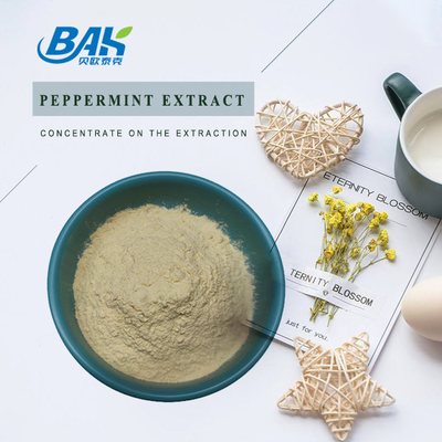 Fabrika Toptan Satış 98% Erkek Sağlığı Takviyesi Ginsenosides Ginseng Özü Tozu