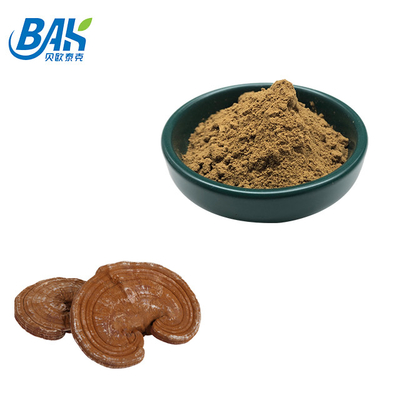200 Mesh İnce Toz Kırık Ganoderma Lucidum Spor Tozu