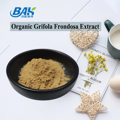 Organik Grifola Frondosa Ekstraktı Beta Glükan % 70 Mantar Ekstraktı Takviyesi UV VIS Tozu