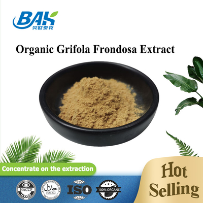 Organik Grifola Frondosa Ekstraktı Beta Glükan % 70 Mantar Ekstraktı Takviyesi UV VIS Tozu
