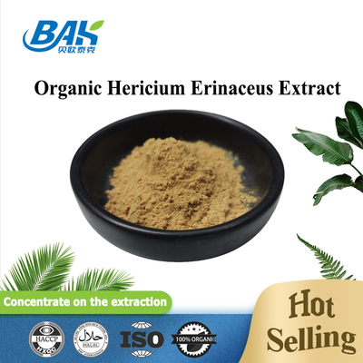 UV VIS Hericium Erinaceus Mantar Özü
