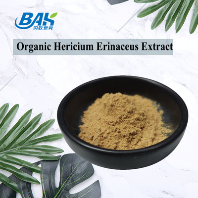 UV VIS Hericium Erinaceus Mantar Özü