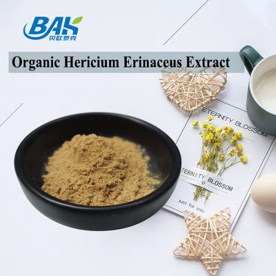 UV VIS Hericium Erinaceus Mantar Özü