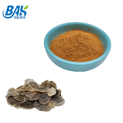 10%-50% Coriolous Versicolor Mantar Özü Takviyesi Kahverengi Sarı Toz