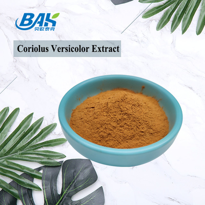 10%-50% Coriolous Versicolor Mantar Özü Takviyesi Kahverengi Sarı Toz