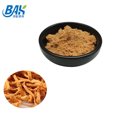 80 Mesh - 120 Mesh Cordyceps Militaris Özü