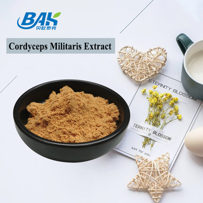 80 ila 120 Mesh Cordyceps Militaris Ekstrakt Tozu Fabrikası Tedarikleri