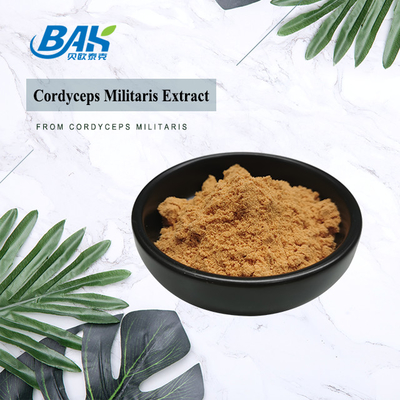 80 ila 120 Mesh Cordyceps Militaris Ekstrakt Tozu Fabrikası Tedarikleri