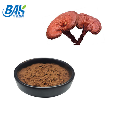 200 Mesh İnce Toz Kırık Ganoderma Lucidum Spor Tozu