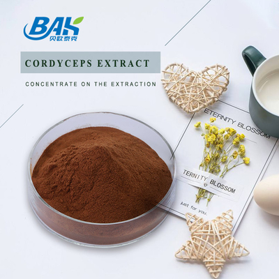 Cordycepin 5% 10% 20% Erkek Sağlığı Takviyesi Cordyceps Özü Kahverengi Toz