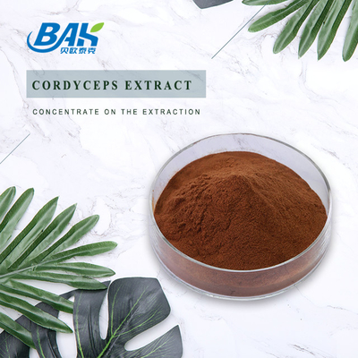 Cordycepin 5% 10% 20% Erkek Sağlığı Takviyesi Cordyceps Özü Kahverengi Toz