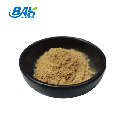 Polisakkarit %40 Astragalus Özü Tozu %100 Geçiş 80 Mesh