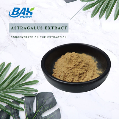 Polisakkarit %40 Astragalus Özü Tozu %100 Geçiş 80 Mesh