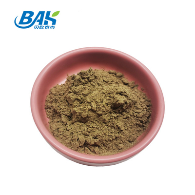 Ajuga Turkestanica Özü Turkesterone Kahverengi Sarı Toz 2%-40%