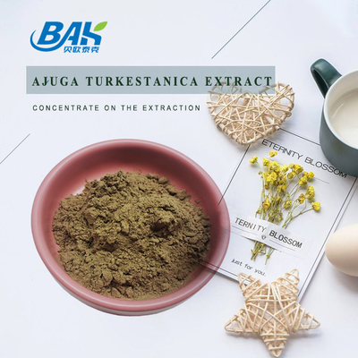 Ajuga Turkestanica Özü %2 - %20