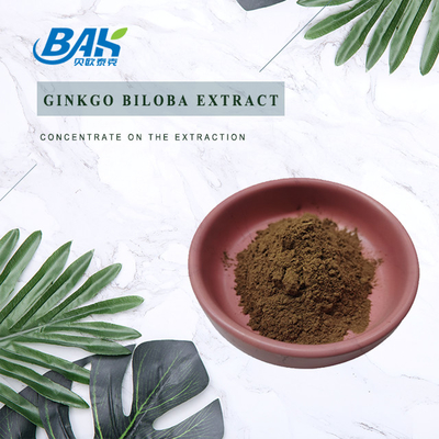 CAS 90045-36-6 Ginkgo Biloba Ekstraktı Flavon Glikozidler 24% Terpen Laktoriler 6%