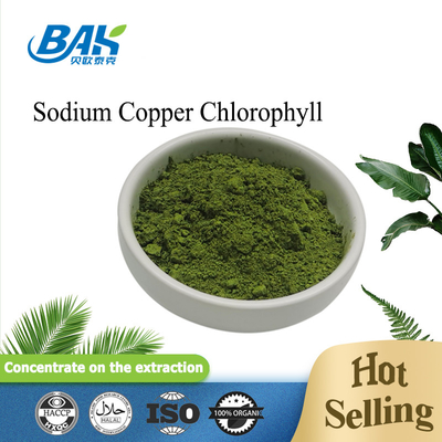 Sodyum Bakır Klorofilin 65963-40-8