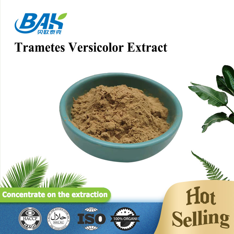 Gıda Sınıfı Mantar Özü Takviyesi Trametes Versicolor Özü %10 - %50