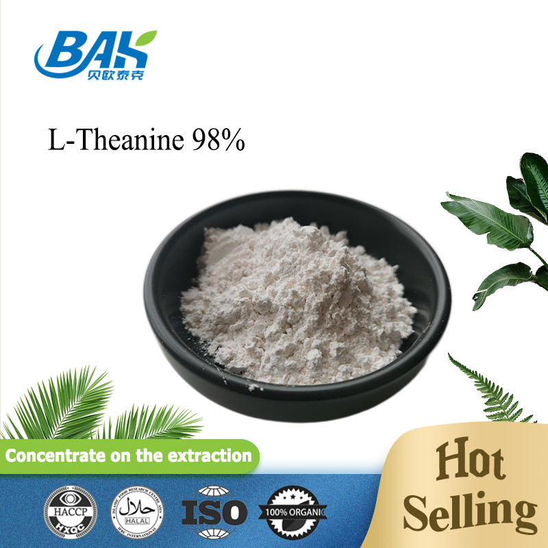 3081-61-6 Yeşil Çay Özü Tozu Theanine Sağlıklı Diyet İçin% 98 Doğal Bitkisel Öz