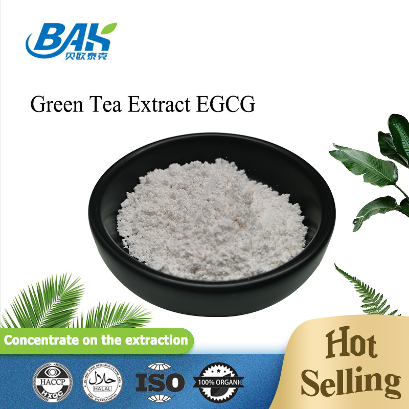 Toplu Sahne Yeşil Çay Ekstraktı EGCG CAS NO 989-51-5 Epigallocatechin Gallate 98% Beyaz Toz
