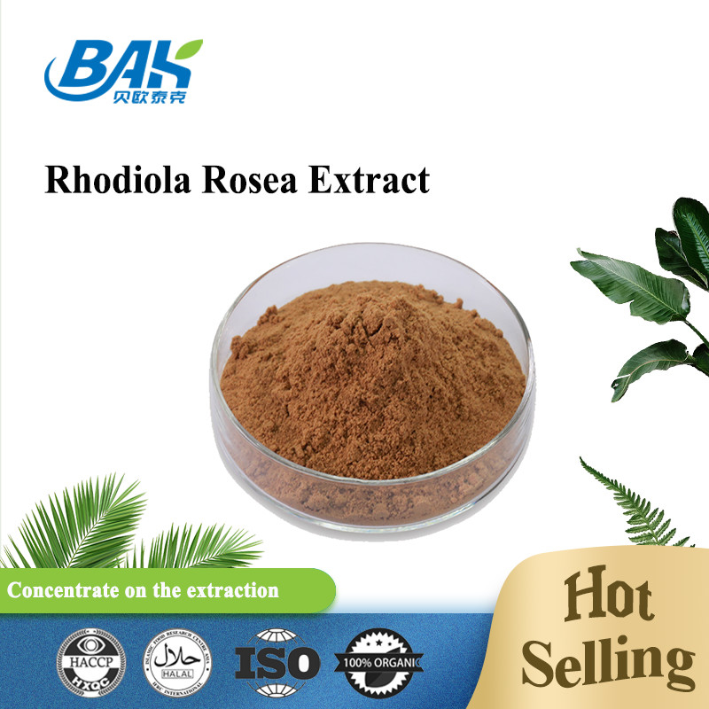 Organik Erkek Sağlığı Takviyesi Rosavin% 1 -% 10 Rhodiola Rosea L Özü Kırmızı Kahverengi Toz