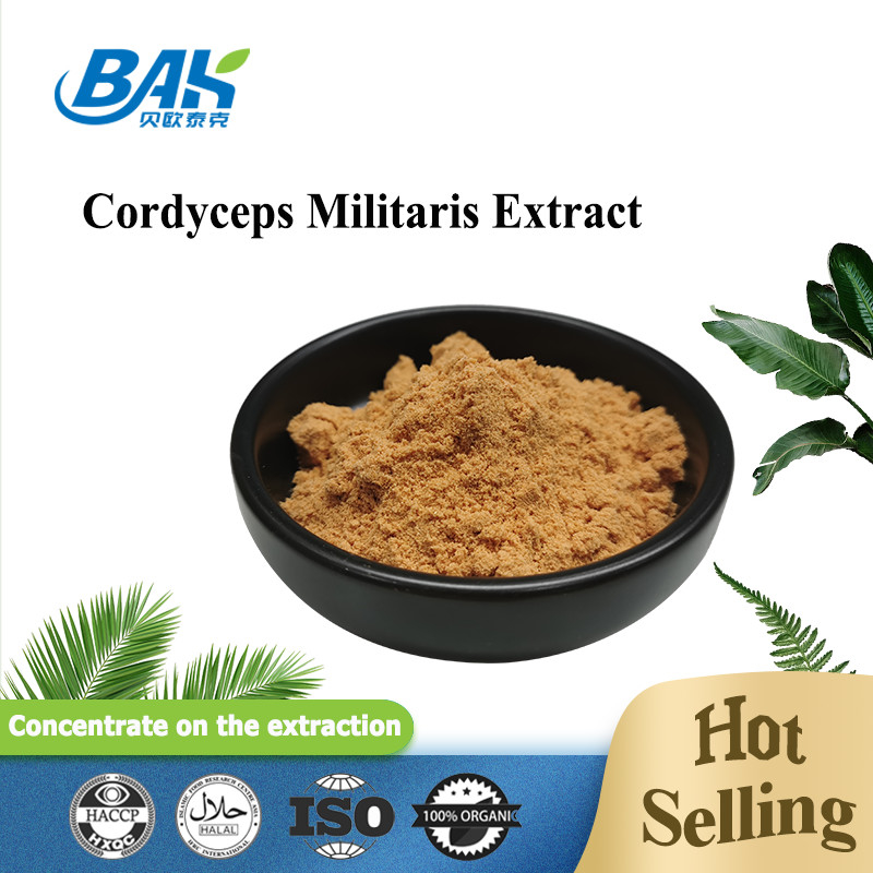 80 ila 120 Mesh Cordyceps Militaris Ekstrakt Tozu Fabrikası Tedarikleri