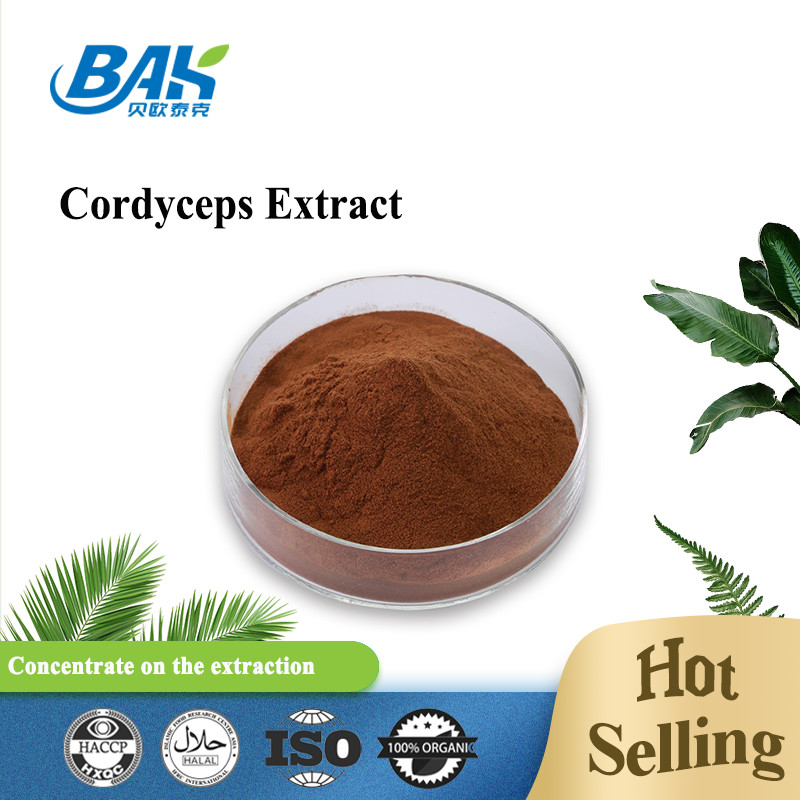 Cordycepin 5% 10% 20% Erkek Sağlığı Takviyesi Cordyceps Özü Kahverengi Toz